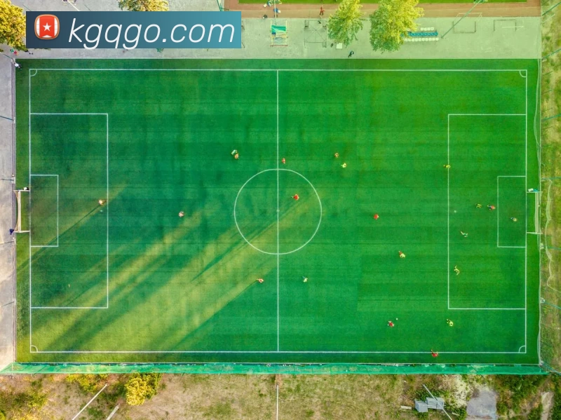 平台展示图